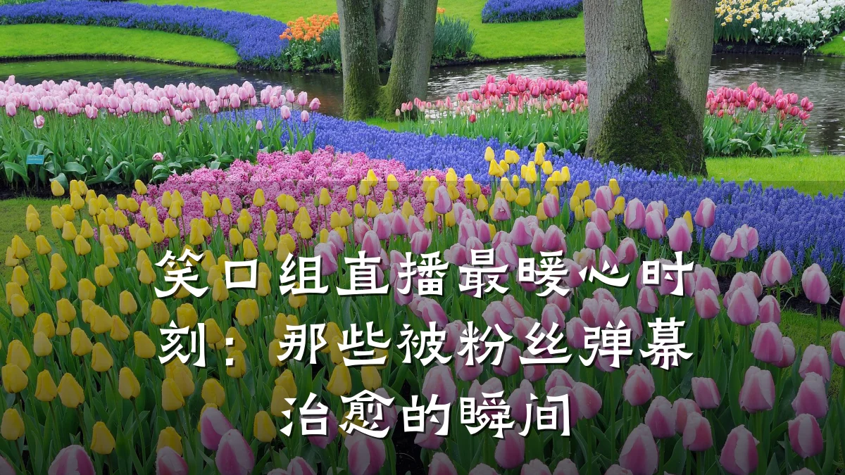 笑口组直播最暖心时刻:那些被粉丝弹幕治愈的瞬间