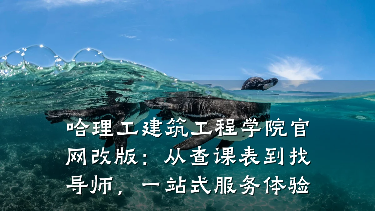 哈理工建筑工程学院官网改版：从查课表到找导师，一站式服务体验