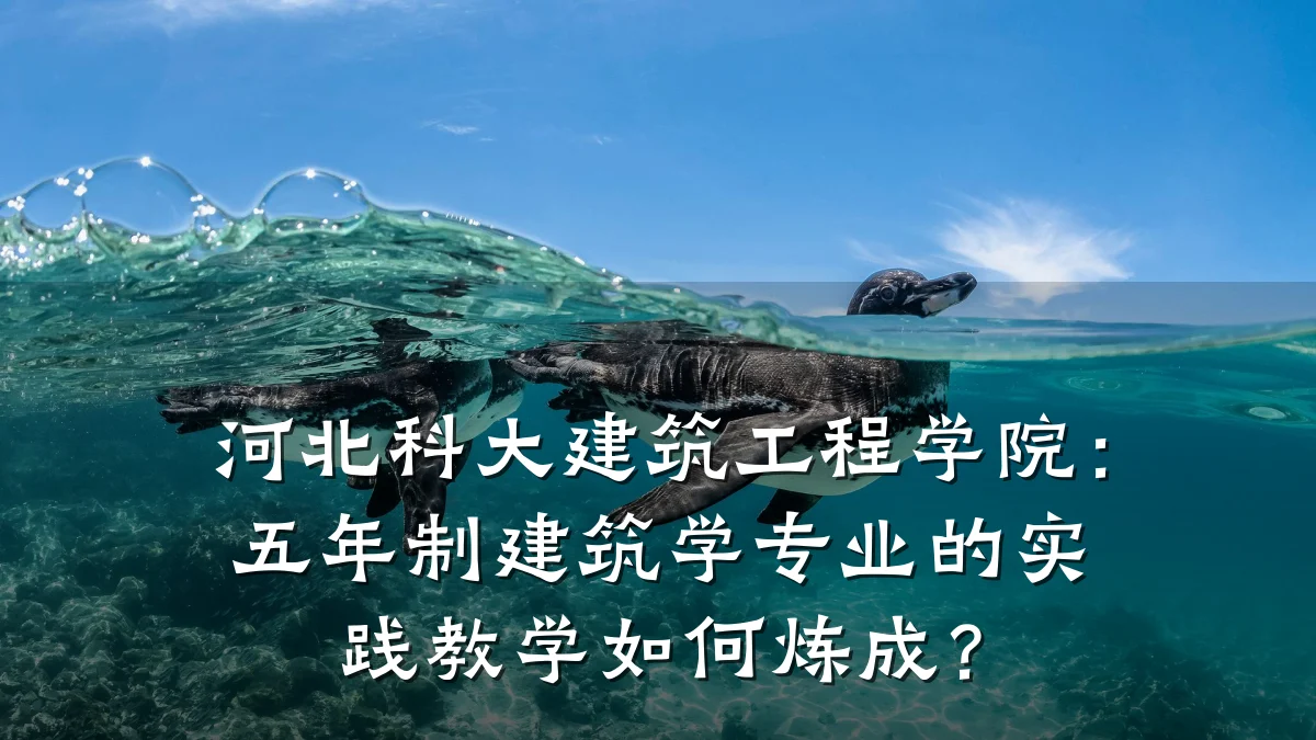 河北科大建筑工程学院：五年制建筑学专业的实践教学如何炼成？