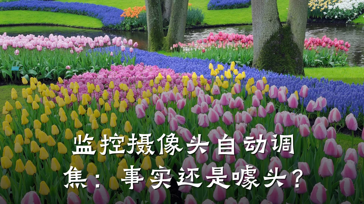 监控摄像头自动调焦:事实还是噱头?