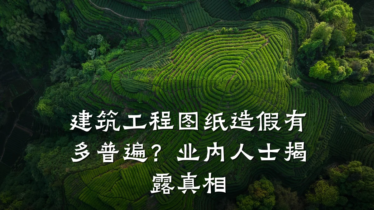 建筑工程图纸造假有多普遍？业内人士揭露真相