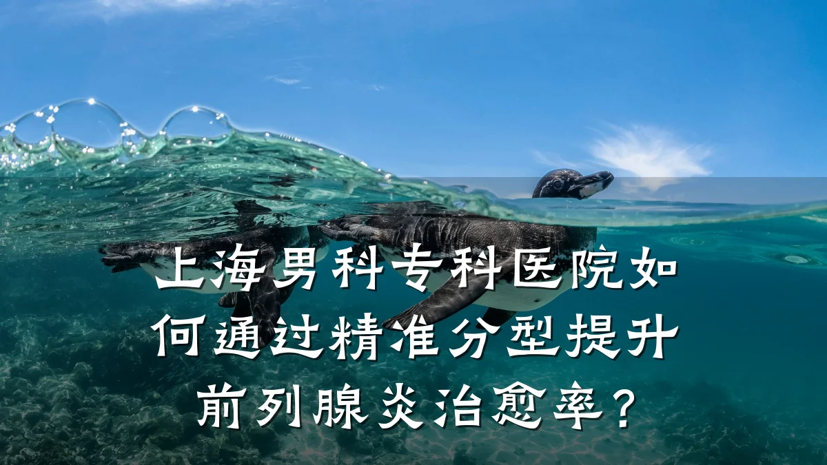 上海男科专科医院如何通过精准分型提升前列腺炎治愈率?