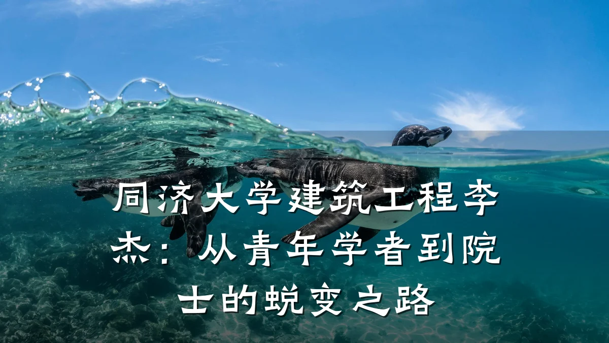 同济大学建筑工程李杰：从青年学者到院士的蜕变之路