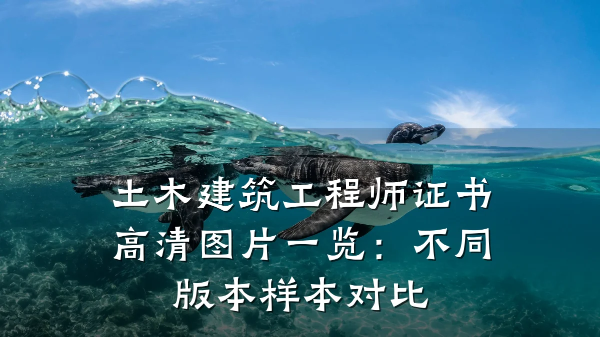 土木建筑工程师证书高清图片一览：不同版本样本对比
