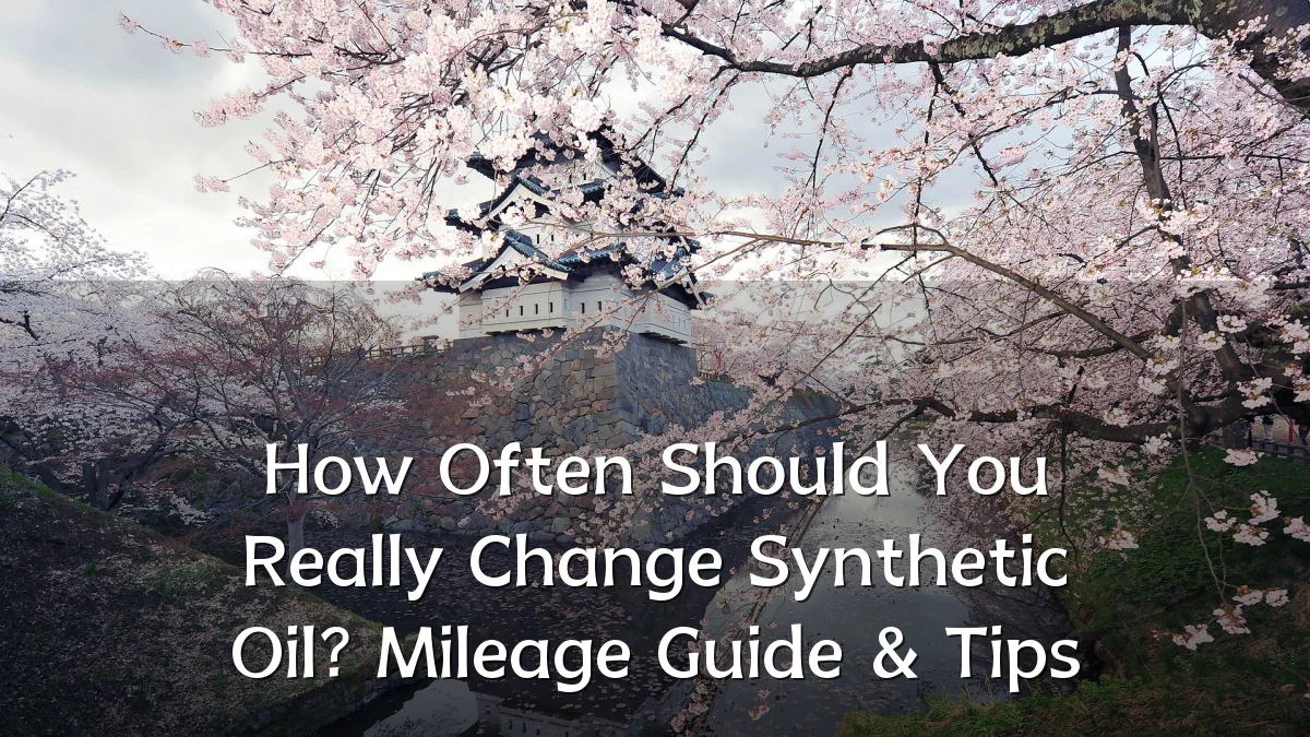 How Often Should You Really Change Synthetic Oil? Mileage Guide & Tips